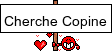 ChercheCopine